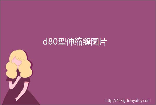 d80型伸缩缝图片