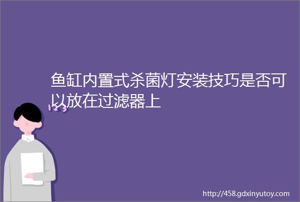 鱼缸内置式杀菌灯安装技巧是否可以放在过滤器上